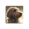 Labradoodle in the Snow Canvas - Image 2