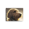 Labradoodle in the Snow Canvas - Image 3