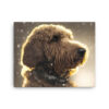 Labradoodle in the Snow Canvas - Image 5