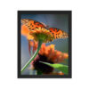 Gulf Fritillary Butterfly Framed Art-DSC_0027 Framed Poster - Image 3