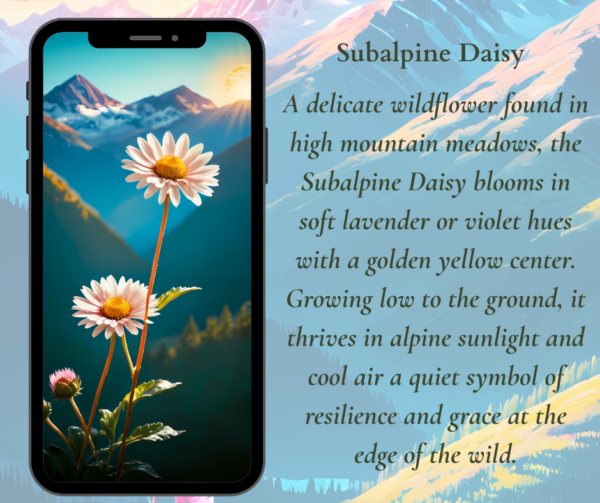 Spring Phone Wallpapers Mountain Wildflowers - Image 3