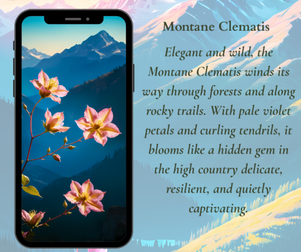 Spring Phone Wallpapers Mountain Wildflowers - Image 6