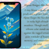 Spring Phone Wallpapers Mountain Wildflowers - Image 7
