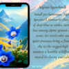 Spring Phone Wallpapers Mountain Wildflowers - Image 9